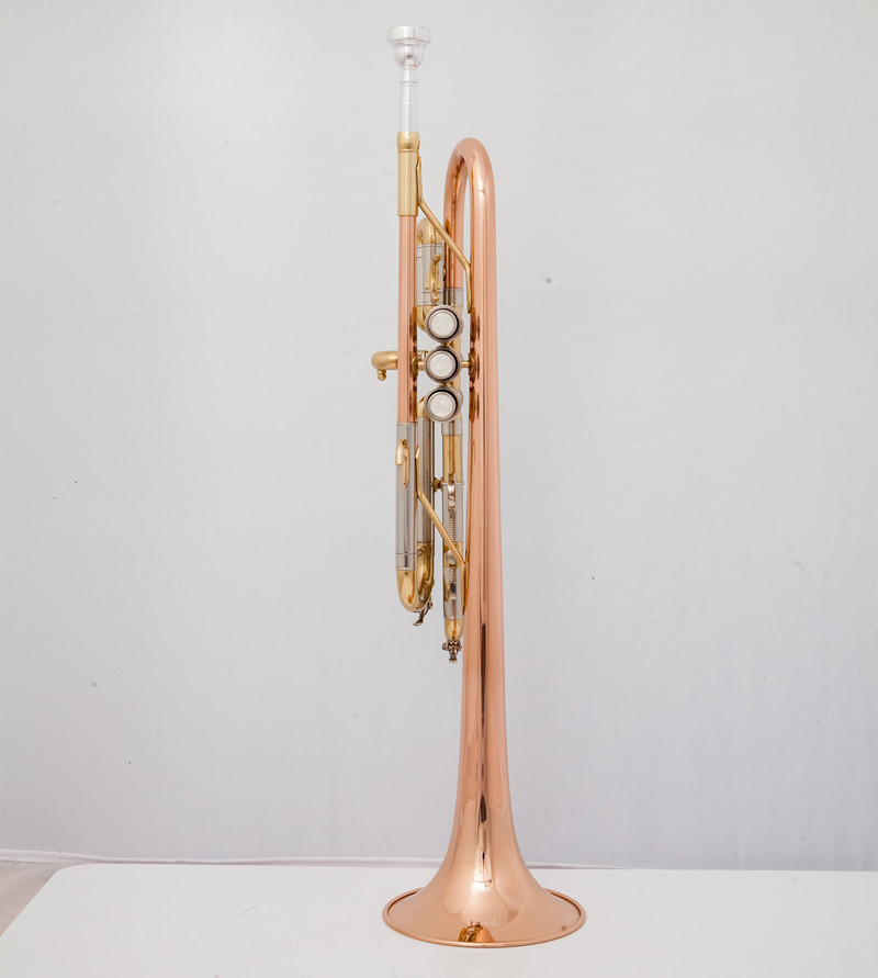 Instrumen Musik Terompet C Pro - Musical Instrument Bugle ulasan dan harga